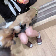 ヒメ日記 2025/09/05 18:29 投稿 るん【密着ねっとり小悪魔】 セクシャル