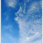 ヒメ日記 2025/07/31 20:54 投稿 宮本 ローズマリー大塚