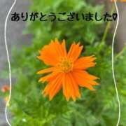 ヒメ日記 2025/08/07 19:54 投稿 宮本 ローズマリー大塚