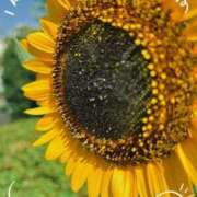 ヒメ日記 2025/08/18 12:14 投稿 宮本 ローズマリー大塚