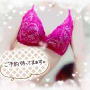 ヒメ日記 2025/08/20 12:34 投稿 宮本 ローズマリー大塚