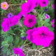 ヒメ日記 2025/09/09 20:24 投稿 宮本 ローズマリー大塚