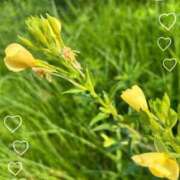 ヒメ日記 2025/09/23 10:24 投稿 宮本 ローズマリー大塚