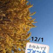 宮本 お知らせです。 ローズマリー大塚