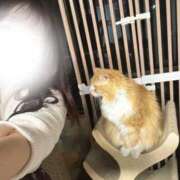 ヒメ日記 2026/01/26 17:03 投稿 ひかる しごくなエステ