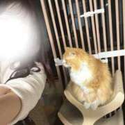 ヒメ日記 2026/01/26 17:10 投稿 ひかる しごくなエステ