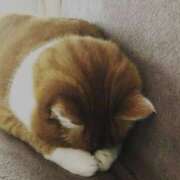 ヒメ日記 2025/07/19 16:03 投稿 てんか 熟女の風俗最終章 新宿店