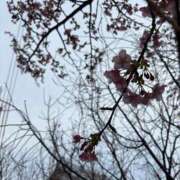 ヒメ日記 2026/02/14 20:13 投稿 おんぷ 渋谷くいーんず