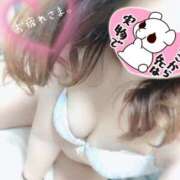 ヒメ日記 2025/09/20 17:02 投稿 アオイ 飾窓