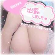 ヒメ日記 2025/10/29 10:01 投稿 愛園 BBW（ビッグビューティフルウーマン）