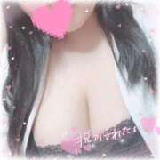 ヒメ日記 2025/11/06 09:16 投稿 愛園 BBW（ビッグビューティフルウーマン）