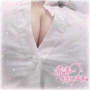 ヒメ日記 2025/11/10 15:11 投稿 愛園 BBW（ビッグビューティフルウーマン）