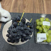 ヒメ日記 2025/09/25 19:00 投稿 松岡みつる セカンドパートナー