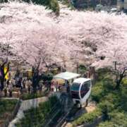 松岡みつる 本日のお礼です。 セカンドパートナー