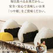 ヒメ日記 2026/01/26 20:00 投稿 松岡みつる セカンドパートナー