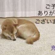 ヒメ日記 2026/01/29 21:25 投稿 松岡みつる セカンドパートナー