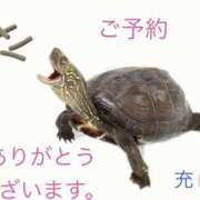 松岡みつる ご予約ありがとうございます。 セカンドパートナー