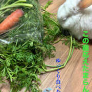 松岡みつる いっぱい食べるウサギさん セカンドパートナー本店