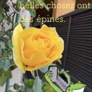 ヒメ日記 2026/04/05 16:30 投稿 松岡みつる セカンドパートナー本店