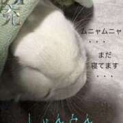 ヒメ日記 2026/05/14 20:00 投稿 松岡みつる セカンドパートナー本店