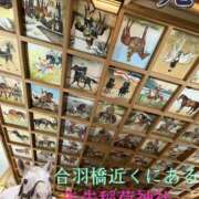 ヒメ日記 2026/05/17 18:00 投稿 松岡みつる セカンドパートナー本店