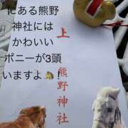 ヒメ日記 2026/05/31 17:00 投稿 松岡みつる セカンドパートナー本店