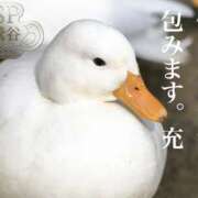 ヒメ日記 2026/07/12 21:30 投稿 松岡みつる セカンドパートナー本店
