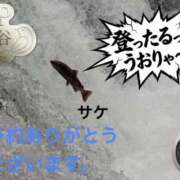 ヒメ日記 2026/07/19 16:05 投稿 松岡みつる セカンドパートナー本店