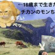 ヒメ日記 2026/10/02 05:40 投稿 松岡みつる セカンドパートナー本店