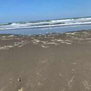 ヒメ日記 2026/03/10 15:43 投稿 なお 熟女の風俗最終章 立川店