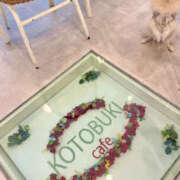 ヒメ日記 2025/07/30 18:17 投稿 しおり レモンカフェ