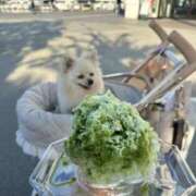 ヒメ日記 2025/08/13 18:11 投稿 しおり レモンカフェ