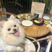 ヒメ日記 2025/08/21 19:14 投稿 しおり レモンカフェ