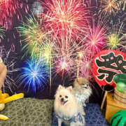 ヒメ日記 2025/08/31 17:25 投稿 しおり レモンカフェ