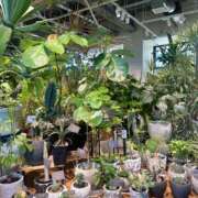 ヒメ日記 2025/09/11 18:23 投稿 しおり レモンカフェ