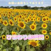 ヒメ日記 2025/08/15 15:45 投稿 まいか［神奈川］ 奥鉄オクテツ東京店（デリヘル市場）