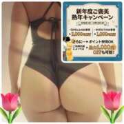 ヒメ日記 2026/04/08 06:17 投稿 しいな(昭和50年生まれ) 熟年カップル名古屋～生電話からの営み～