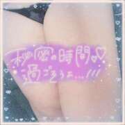 ヒメ日記 2026/01/19 13:04 投稿 らい ドMな奥様 京都店