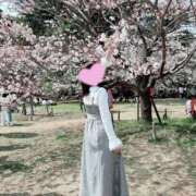 ヒメ日記 2026/04/01 09:03 投稿 ゆりあ 那須塩原人妻花壇