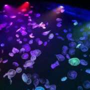 ヒメ日記 2025/11/16 05:47 投稿 じゅり ベイキュート