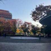 ヒメ日記 2025/11/23 05:57 投稿 じゅり ベイキュート