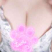 ヒメ日記 2025/07/22 12:00 投稿 ゆき ぽちゃカワイイ！