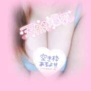 ヒメ日記 2025/08/05 11:55 投稿 ゆき ぽちゃカワイイ！