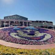 ヒメ日記 2025/09/26 12:00 投稿 むう 錦糸町人妻セレブリティ（ユメオト）