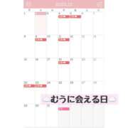 ヒメ日記 2025/12/03 12:00 投稿 むう 錦糸町人妻セレブリティ（ユメオト）