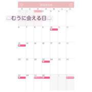 ヒメ日記 2026/04/01 00:14 投稿 むう 錦糸町人妻セレブリティ（ユメオト）