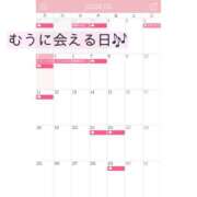 ヒメ日記 2026/05/04 17:19 投稿 むう 錦糸町人妻セレブリティ（ユメオト）