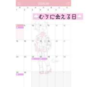 むう 6月のむうに会える日🐸 錦糸町人妻セレブリティ（ユメオト）