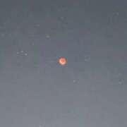 あやな 🎀お久しぶりです🎀 ナイトヴィーナス