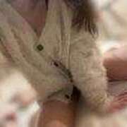 ヒメ日記 2025/08/02 22:09 投稿 ノア(黒髪清楚ロリ) ペロ×2キャンディ